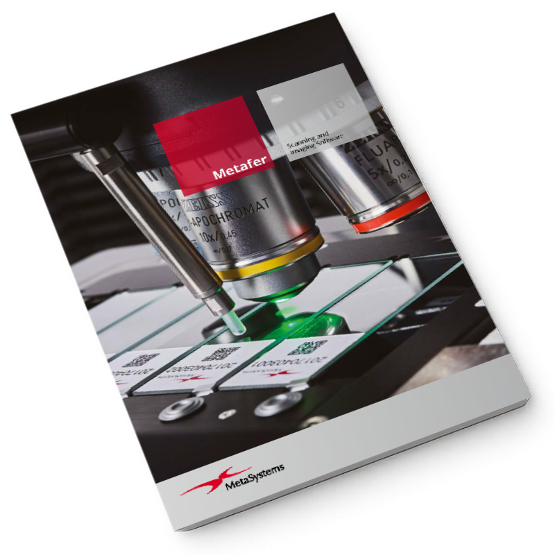 Preview image of Test PDF document